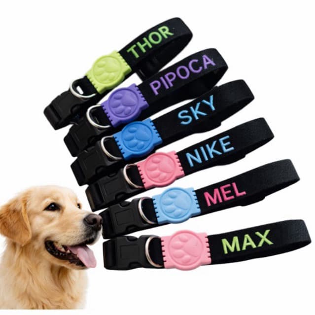 Coleira para Cachorro nome Personalizado ou telefone bordado para passeio linda com identificaçao