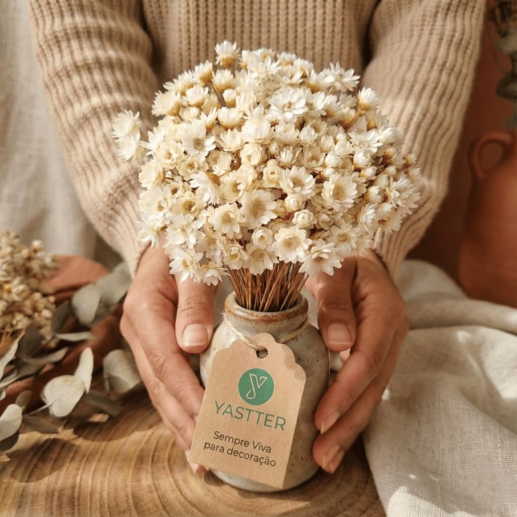 Flor Sempre Viva Seca para Decoraçãoes– Buquê de 200/400/800/1.200 Flores Secas (NÃO ACOMPANHA VASO)