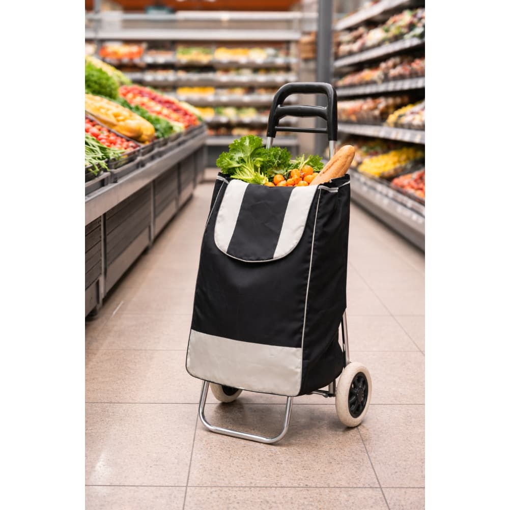 Carrinho de Feira Dobrável com Bolsa – Prático, Leve e Fácil de Guardar! 🛒✨