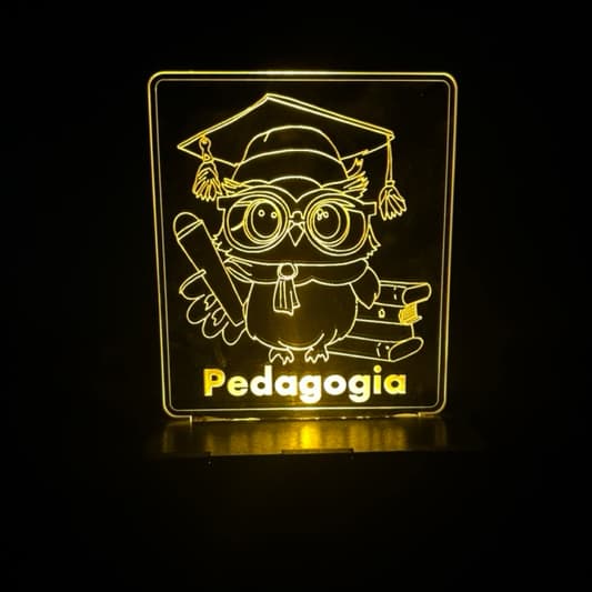 Luminária Pedagogia Personalizada Acrílico LED Presente Formatura Criativo Decoração Professor
