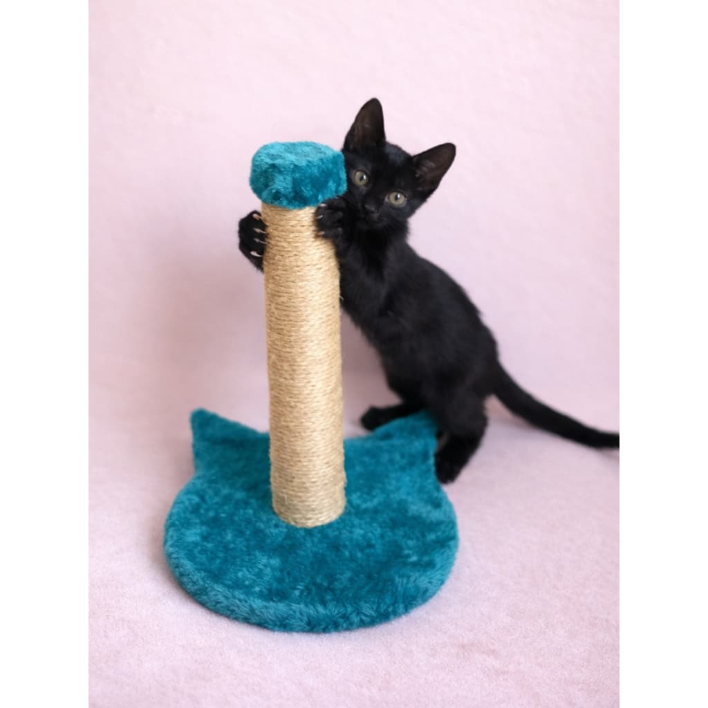 ARRANHADOR CARA DE GATO PRA GATOS 100%MDF