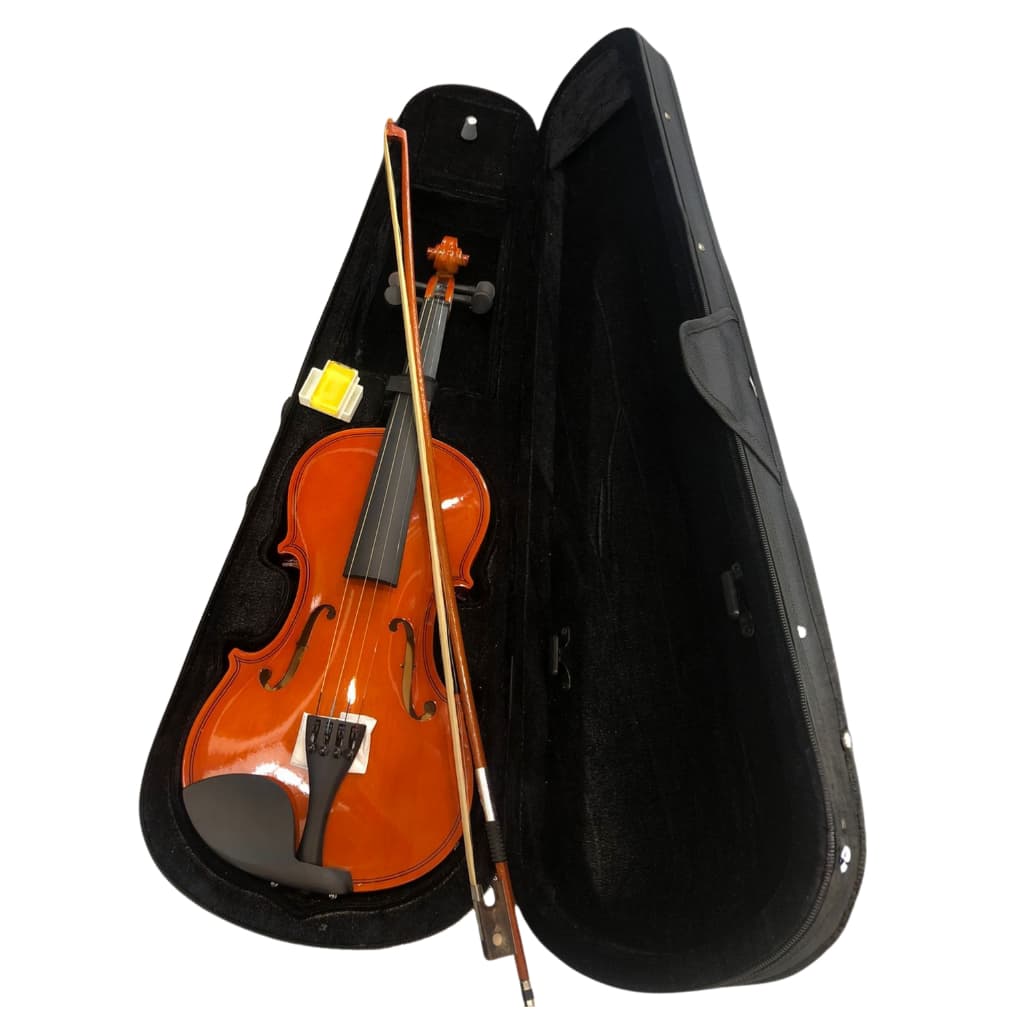 Violino para iniciante 4/4 envernizado de madeira com arco crina de cavalo com breu e bag Alpha