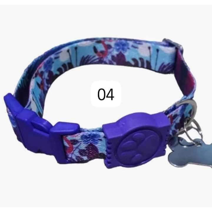 Coleira para Cachorro pequeno porte / Com Plaquinha de identificação gravado a laser