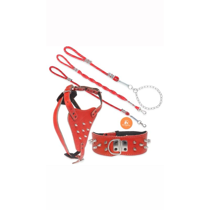 Kit 4 Peças Peitoral Cravos de Couro Para Cão c Coleira Spikes Guia E Corrente Raças Medias e Grandes