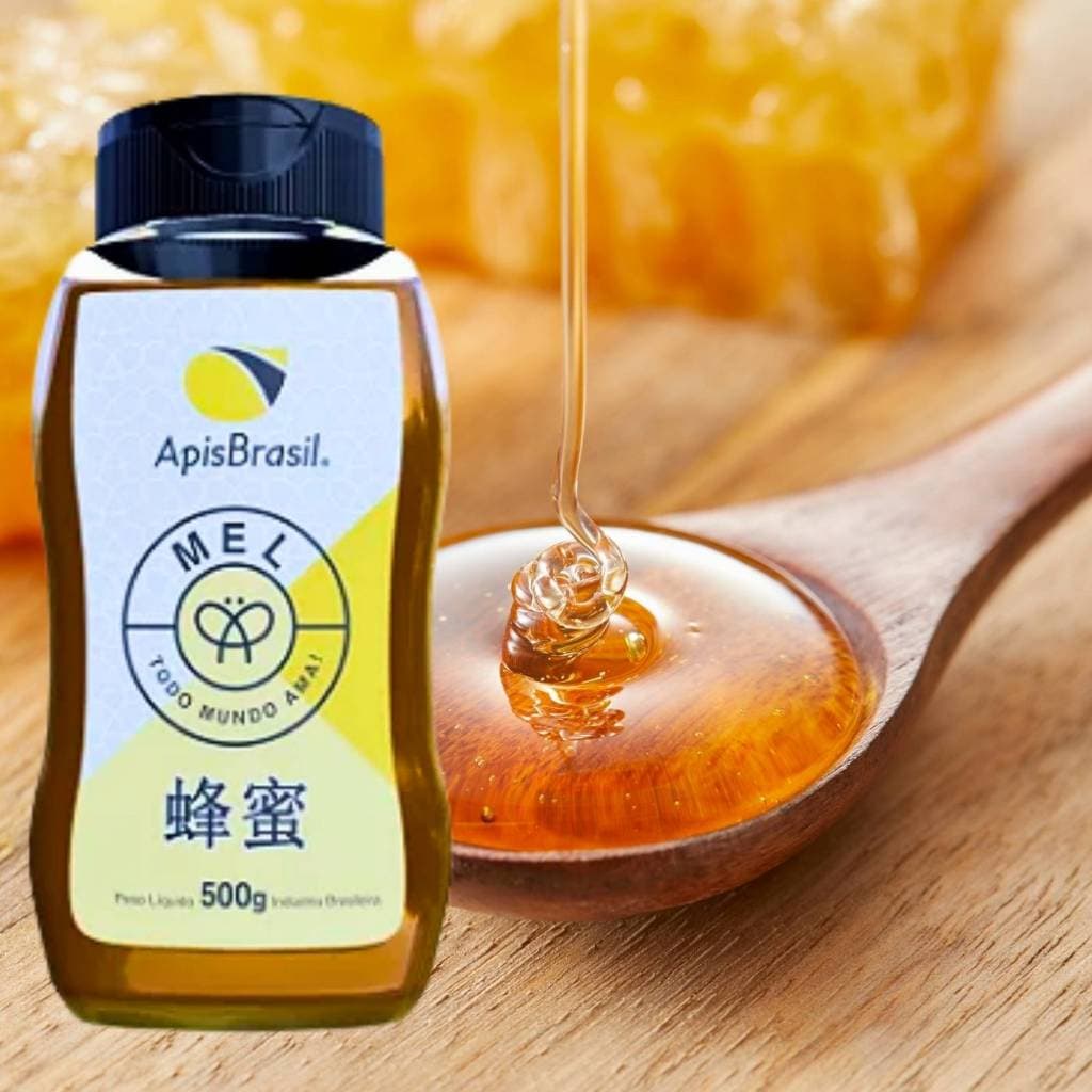 Mel Puro Apis Brasil Mel Natural 500g Florada Cipó Uva Mel Puro Bisnaga 100% Puro