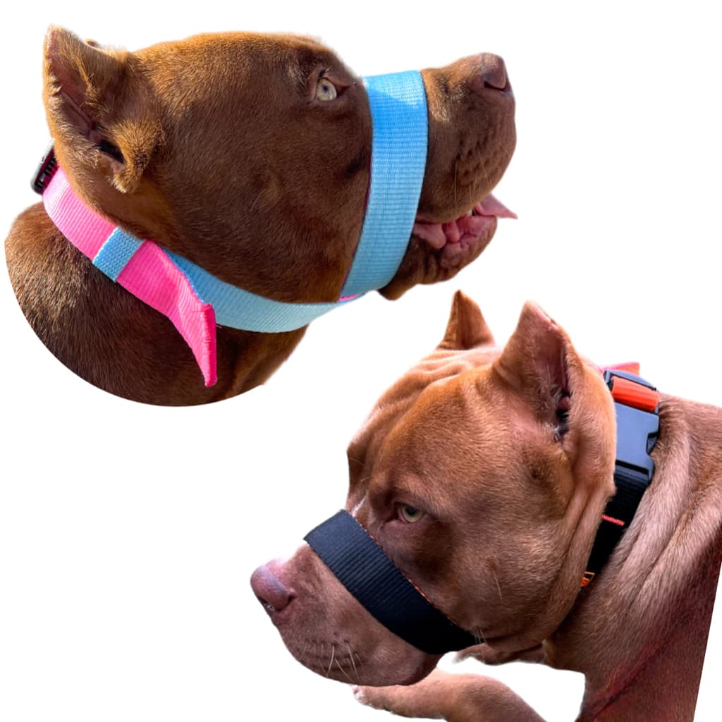 Focinheira Premium Para Cachorro Grande Com Ajuste Conforto E Segurança Para Seu Pet Adulto