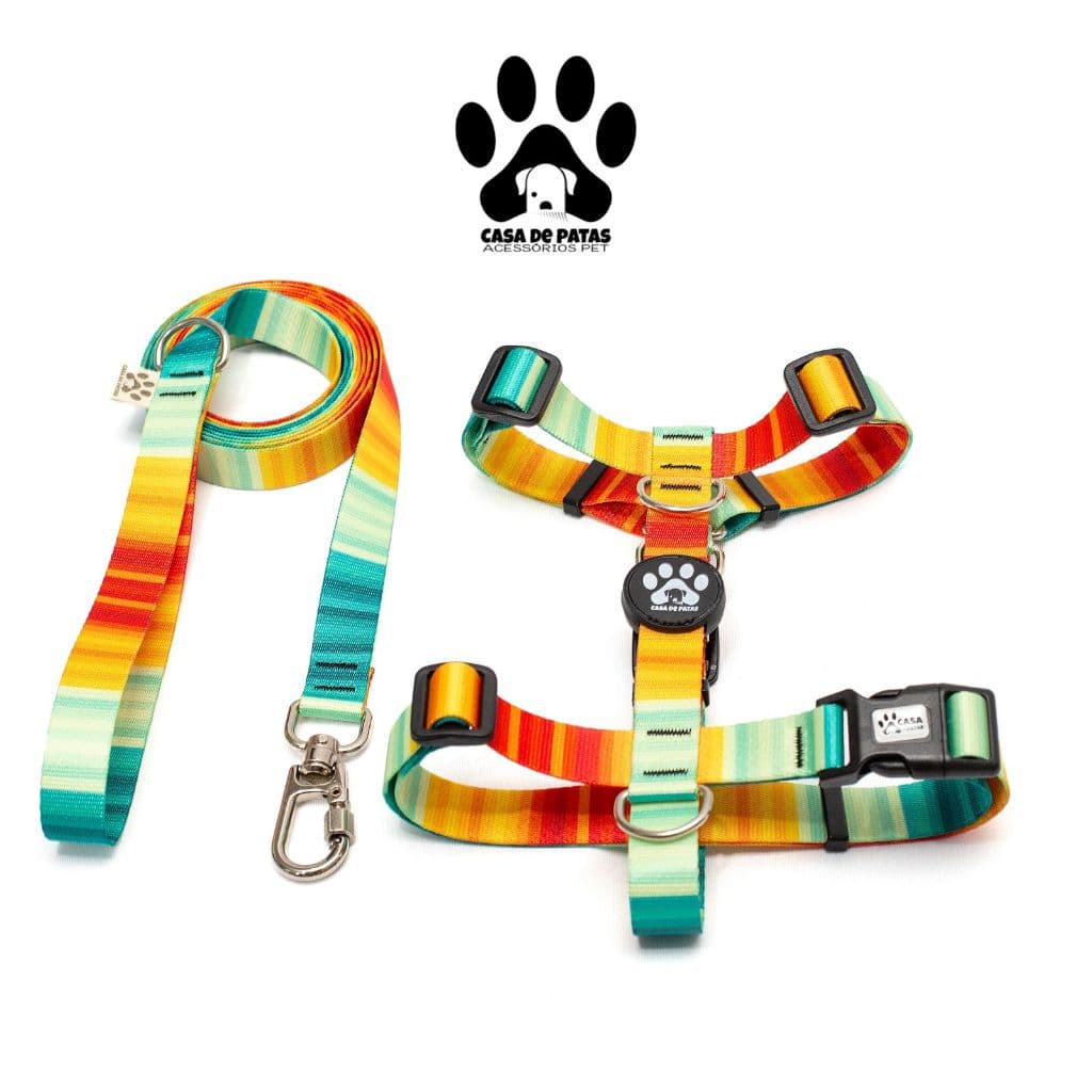 Kit Coleira para Cachorro Tamanho P: Peitoral + Guia modelo H