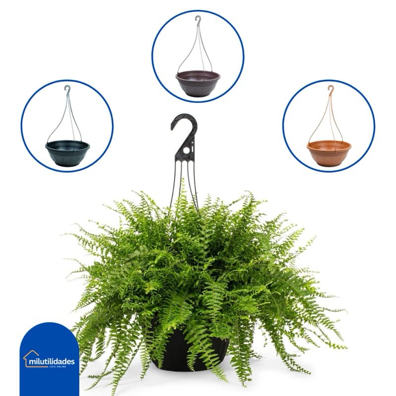 Kit 10 Vasos para Plantas 3L 25cm Cuia Redondo Resistente Preto Marrom Terracota Ideal p/ Viveiro