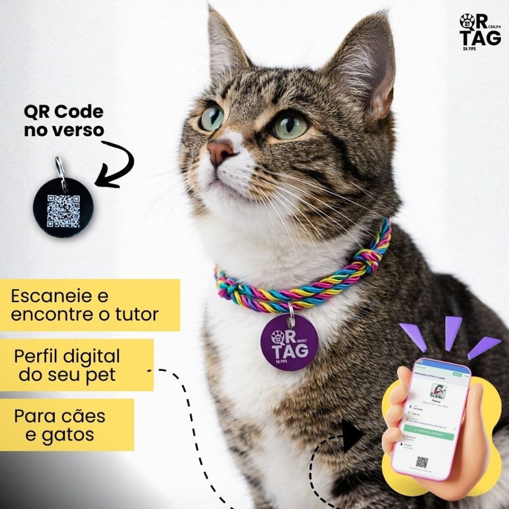 Coleira colar Pet com plaquinha e QR Code para cachorro e gato