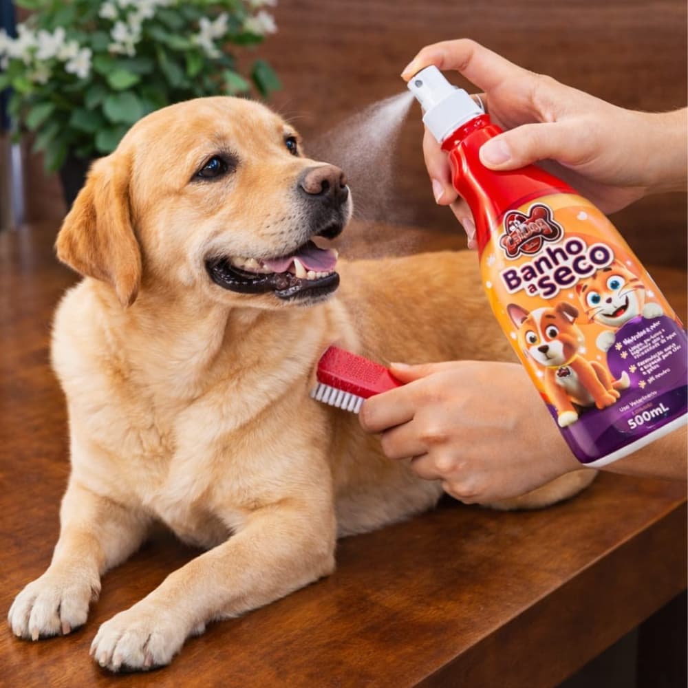 Banho a seco para Cães e gatos 500ml CatDog Spray cheiroso para adultos e filhotes acima de 2 meses
