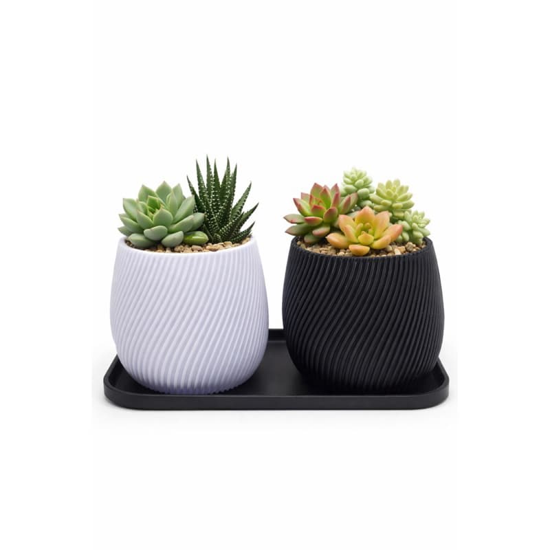 Vaso Decorativo para Plantas Pequenas Duplo com Bandeja | Suculentas e Cactos