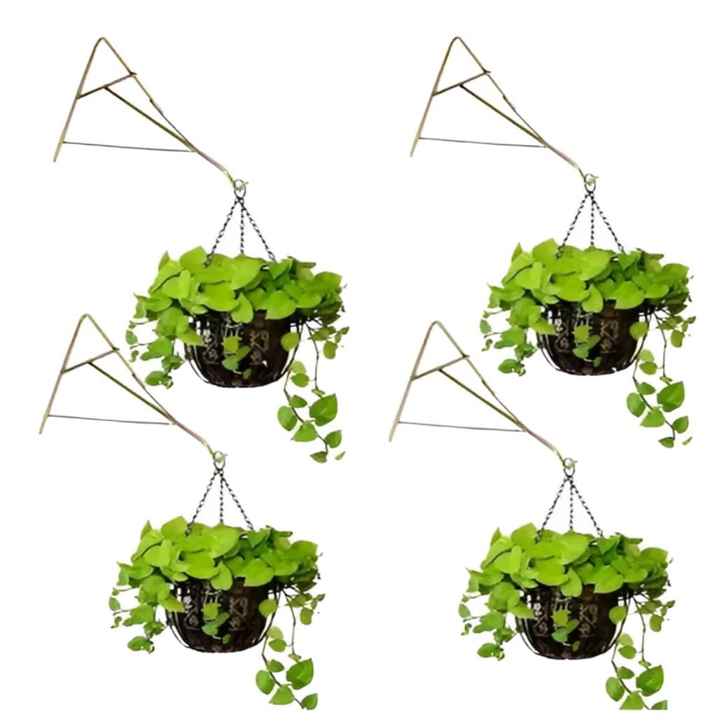 4 Suporte Xaxim Gancho Pendurar Vaso De Planta Parede Cactos