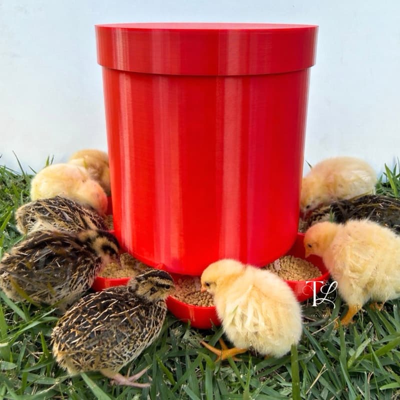 Comedouro Automático para Aves, Pintinhos e Codorna de 8 Lugares