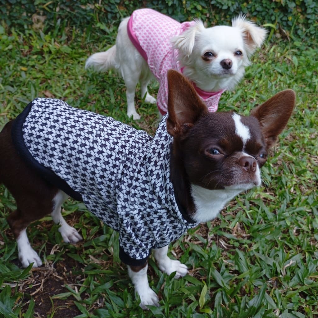 Roupa pet  moletom com capuz estampado para cachorro e gato