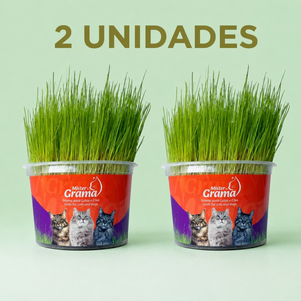 Kit 2 Graminhas para Gatos - Mister Grama – Saúde Digestiva e Controle de Bolas de Pelo - 1 Unidade