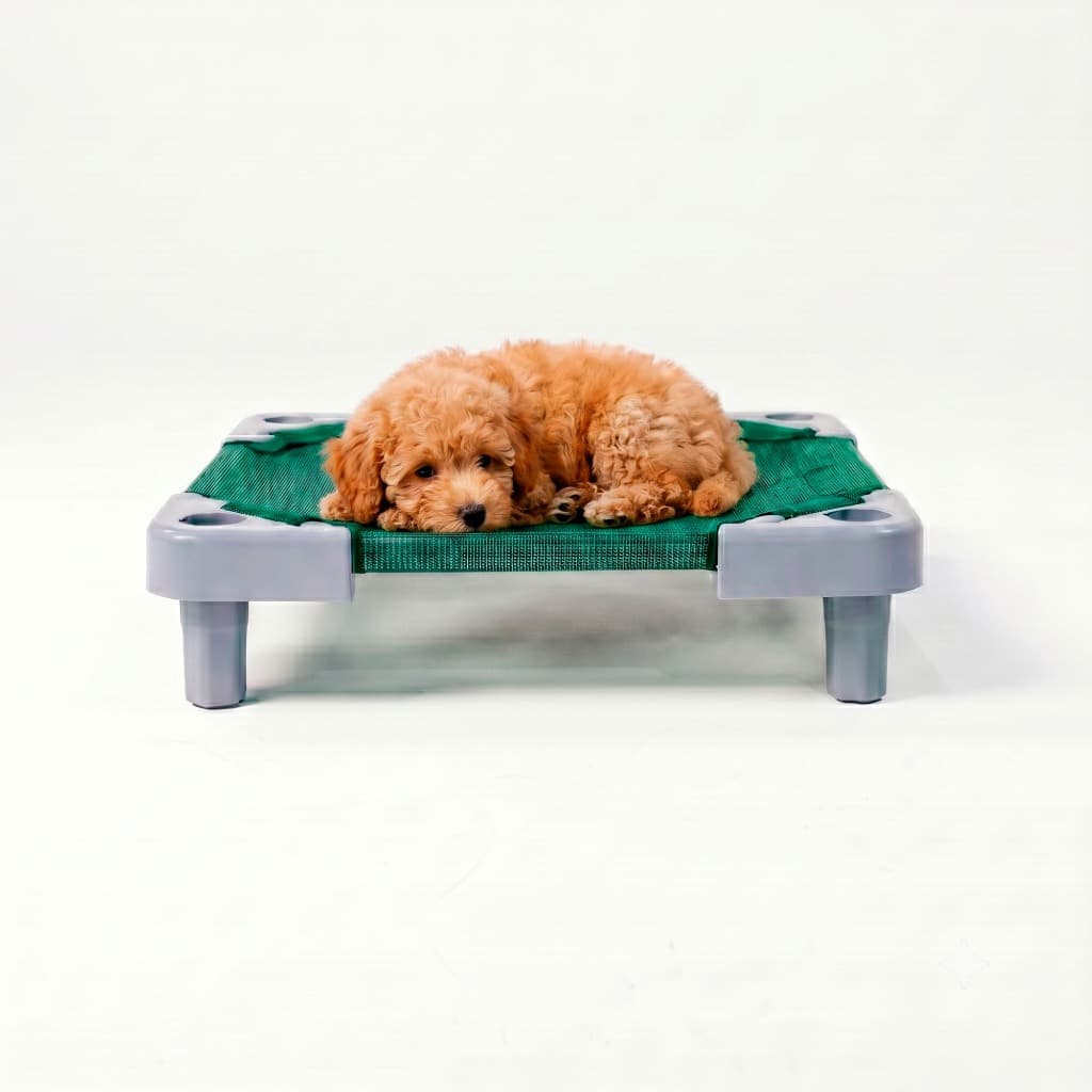 Caminha Petit Pet Verde Higiênica Kit 5 Unidades Gato e Cachorro - PapiBrink