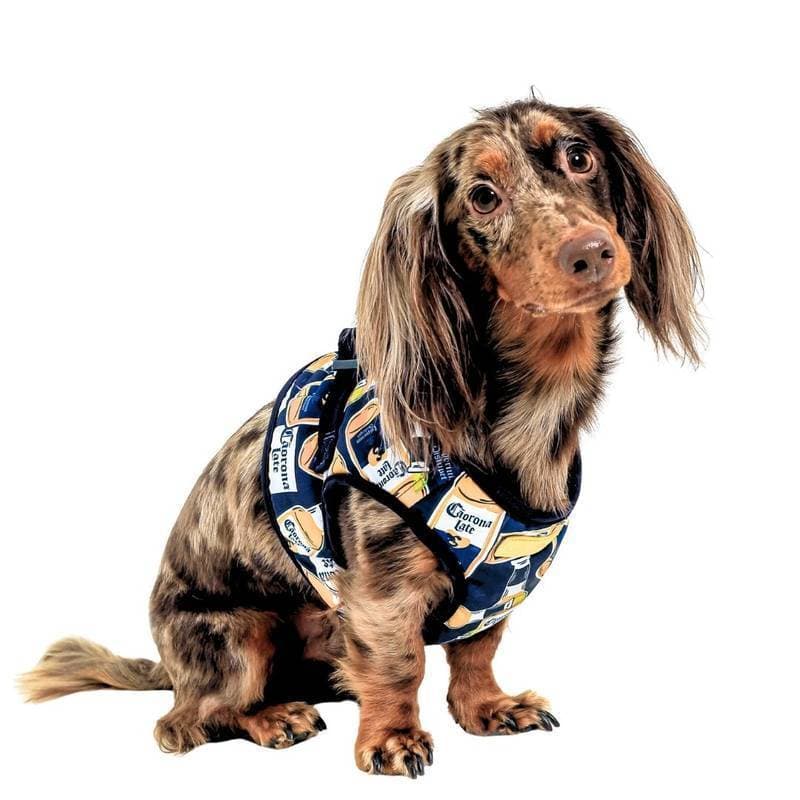 Peitoral para Cachorro Ressaca Emporium Distripet | Peitoral Pet para Passeio, Caminhada e Controle do Cão