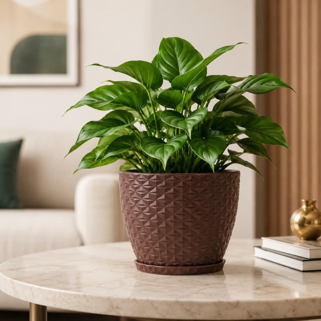 Vaso de Planta Flores Decorativos Bojo Diamante PP com Prato Estilo 3D Estrela em Polietileno