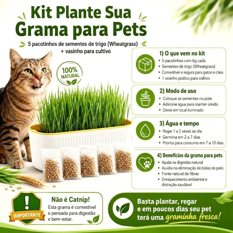 Pote Para Plantar Grama Comestível Hidropônica Para Gato Pets