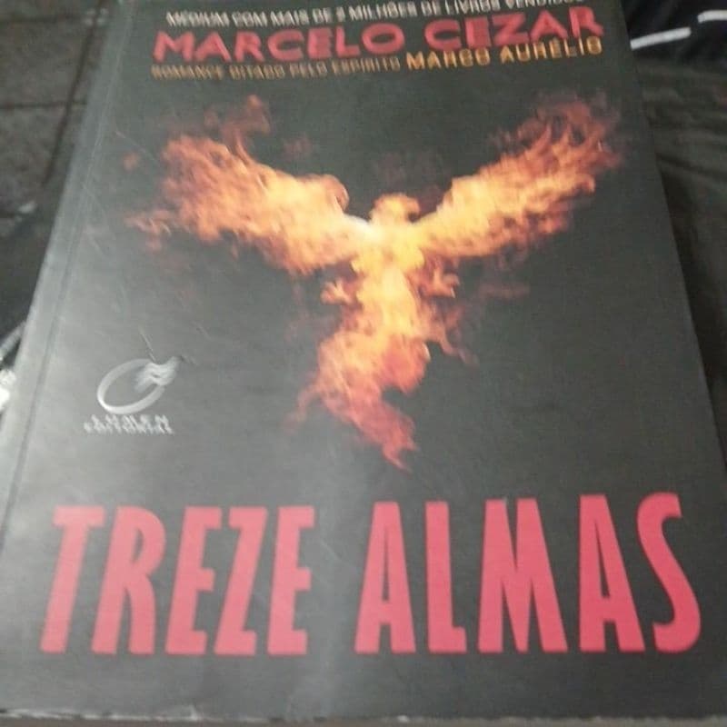 Treze Almas -  Marcelo Cezar (doutrina espirita)
