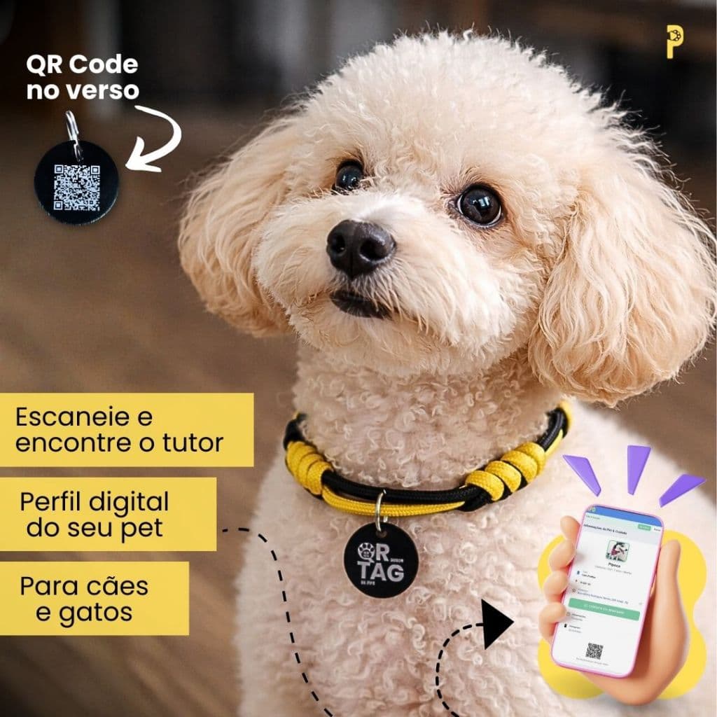 Coleira Pet com plaquinha e QR code para cachorro e gato