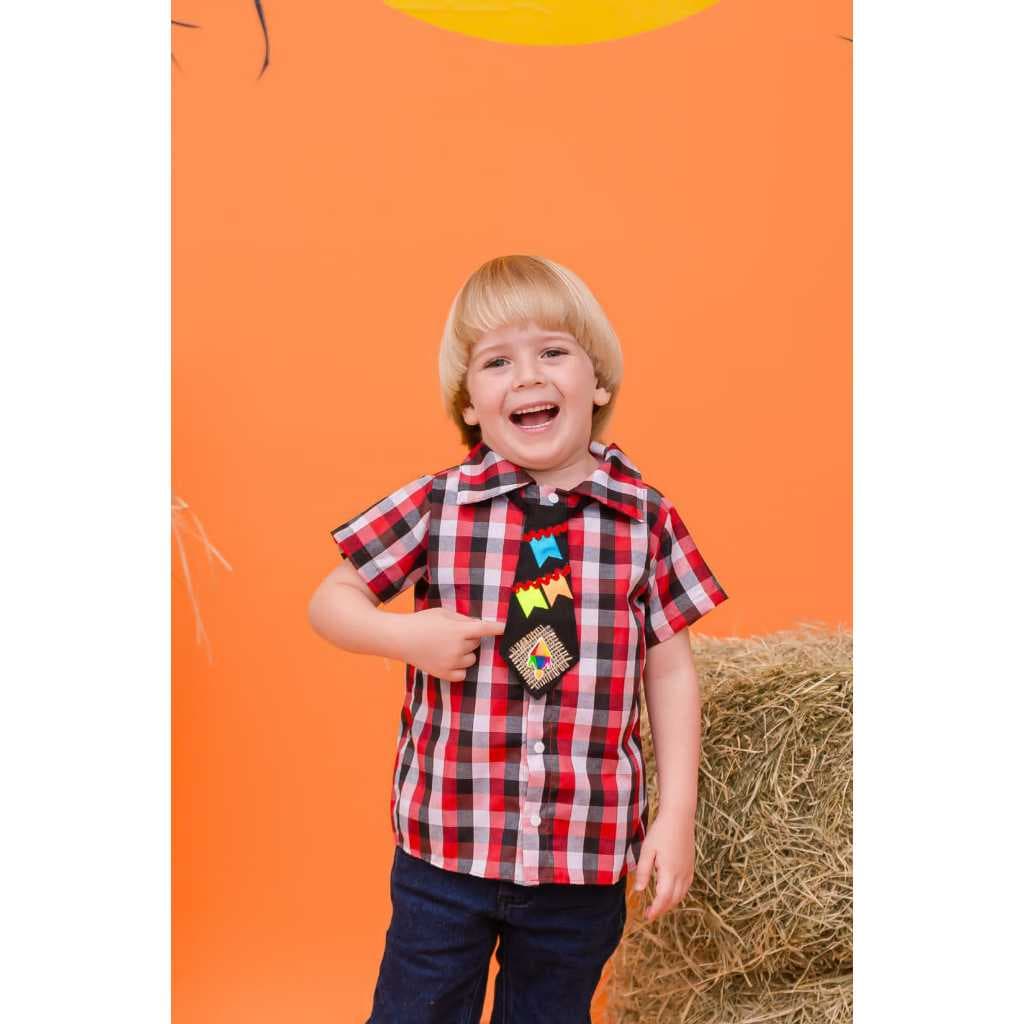 Camisa Xadrez SÃO JOÃO Infantil Masculina Blusa Junina Quadrilha Menino Festa Junina Camisa Quadriculada Masculina Infan