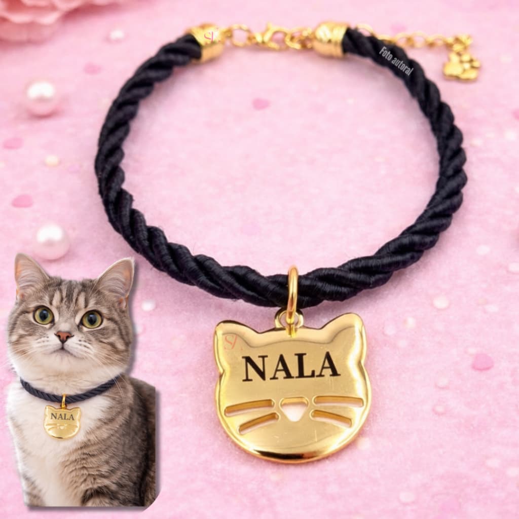 Coleira Gato com Placa de Identificação Gravada Plaquinha Pingente B7