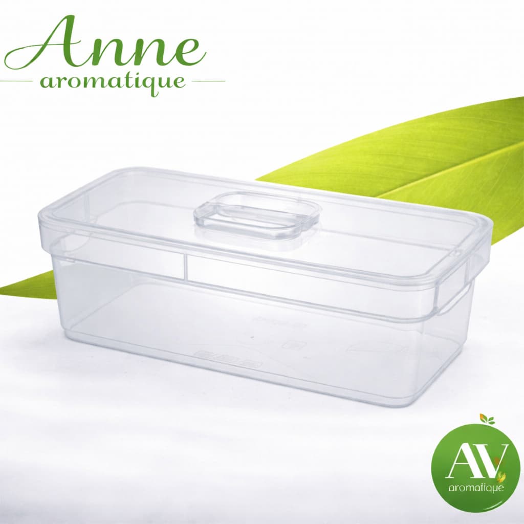 Organizador De Armário Guarda Roupa Pequena Transparente Com Tampa 24x11x10cm