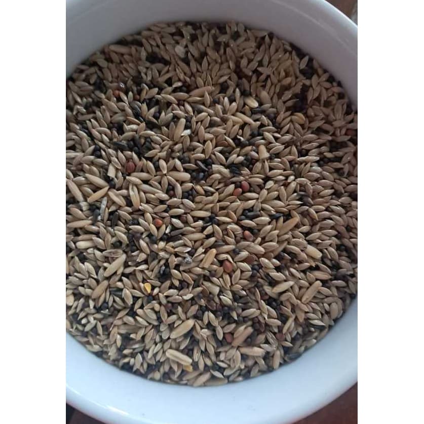 Raçao, Mistura, Canário Criador com antifungo natural. Sementes Selecionadas