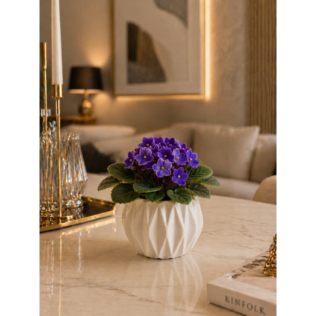 Cachepot Decorativo Pequeno Origami Cerâmica Vaso para Suculentas e Flores Geométrico Moderno Varias Cores