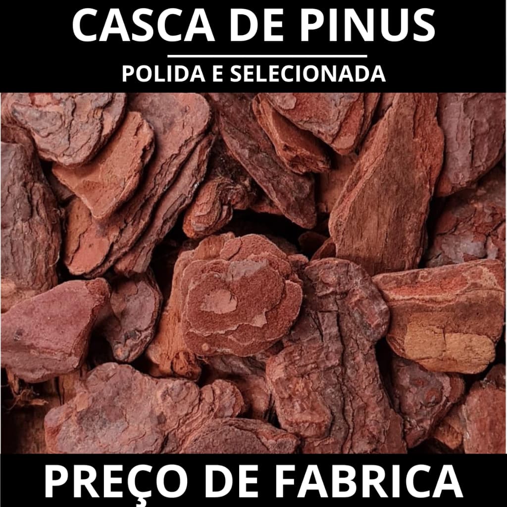 Casca de Pinus Polida Premium para Plantas Natural Paisagismo e Decoração P M G 1 2 5 Litros