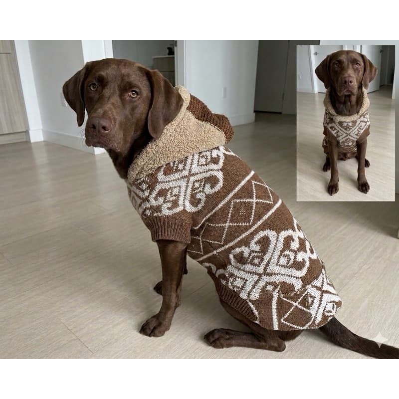 Roupinha Pet Quentinha Com Capuz SORTIDA Roupa De Cachorro Porte Médio