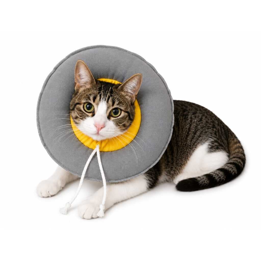 Coleira de gato coleira ajustavel de algodão macio  para gato  colar cirúrgico tamanho único