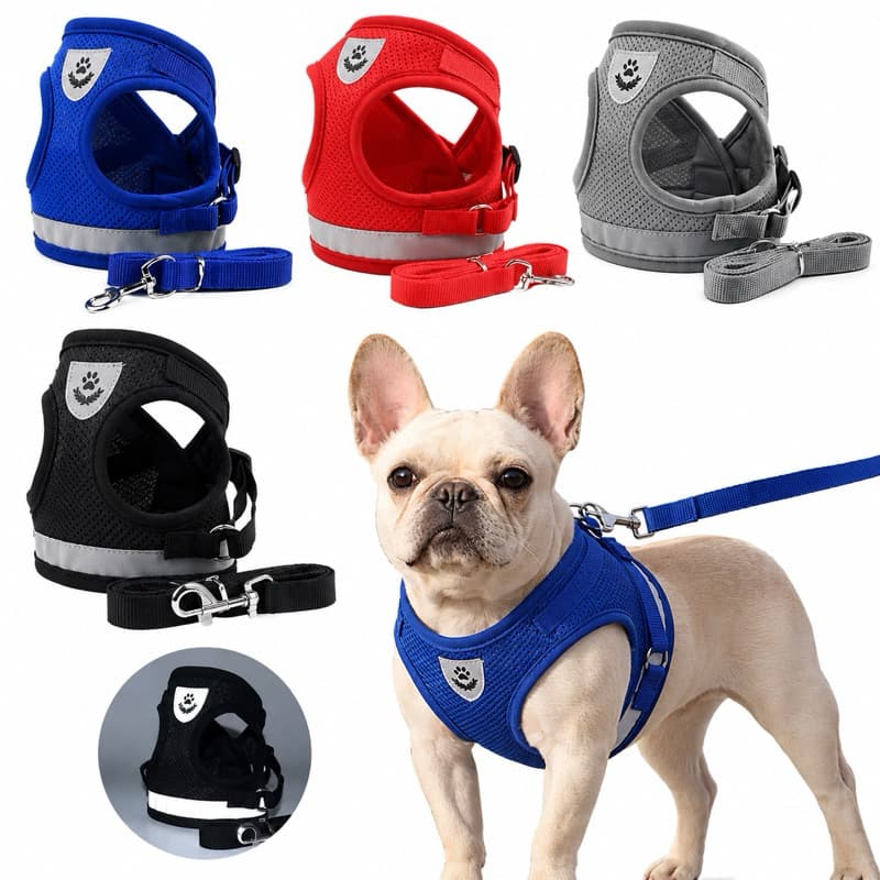 Peitoral e Guia para Cachorro Coleira Caes E Gatos Colete Regulavel Confortavel para Pet Pequeno