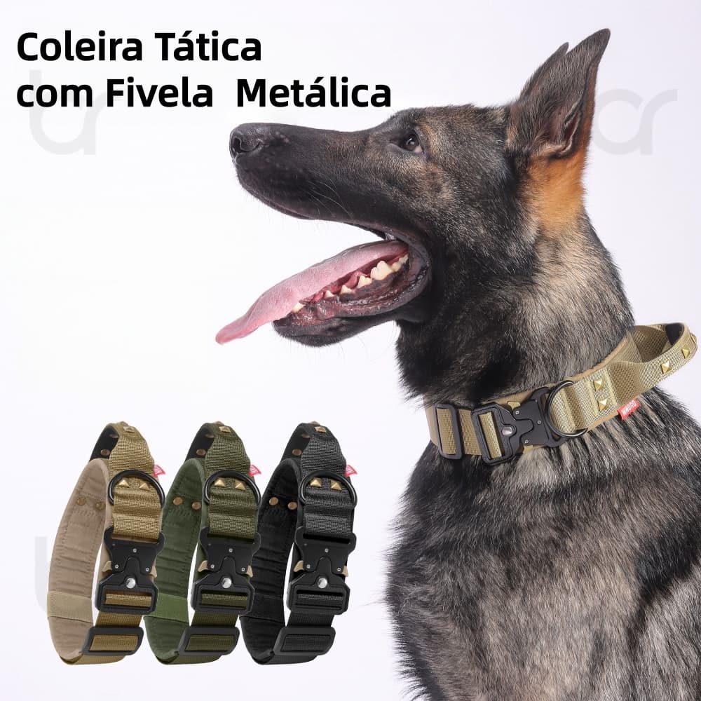 Coleira Tática para Cachorro Grande com Fivela de Metal e Argola Reforçada