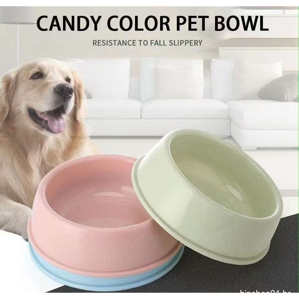 Tigela Comedouro Ergonômico Pet Cães E Gatos Tons Pastéis