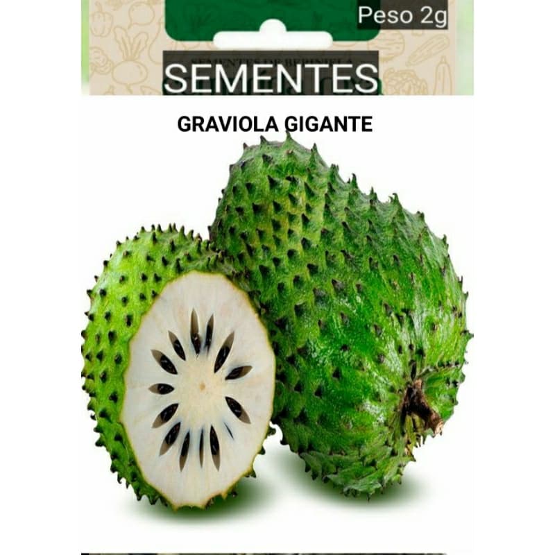 Sementes Graviola Gigante - Annona Muricata Plante vaso Jardim terra casa #2