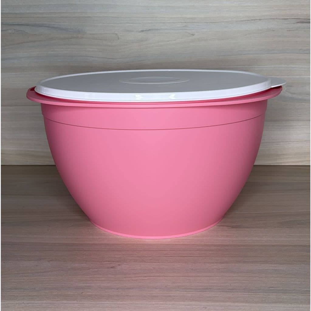 Actualité 10L Tupperware Original | Tigela Grande com Tampa