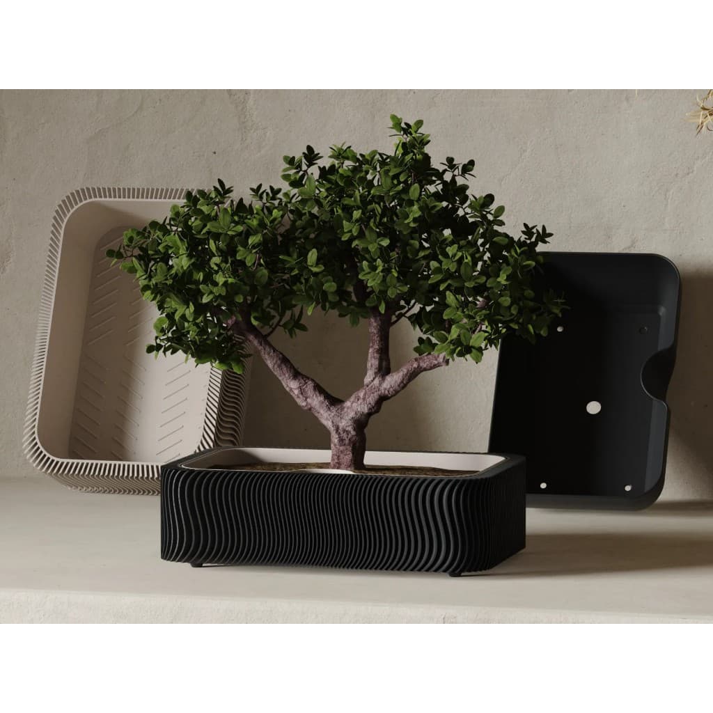 Japandi Bonsai & Vaso para Suculentas & Bandeja