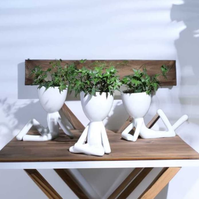 kit 3 Decoração Vaso de Plantas Suculenta Jardinagem Robert Plant
