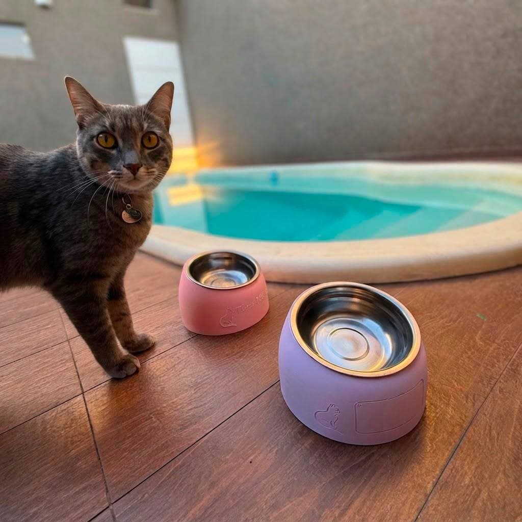 Tigela Comedouro Pet Personalizada Nome Gato Cachorro Base Antiderrapante Inox