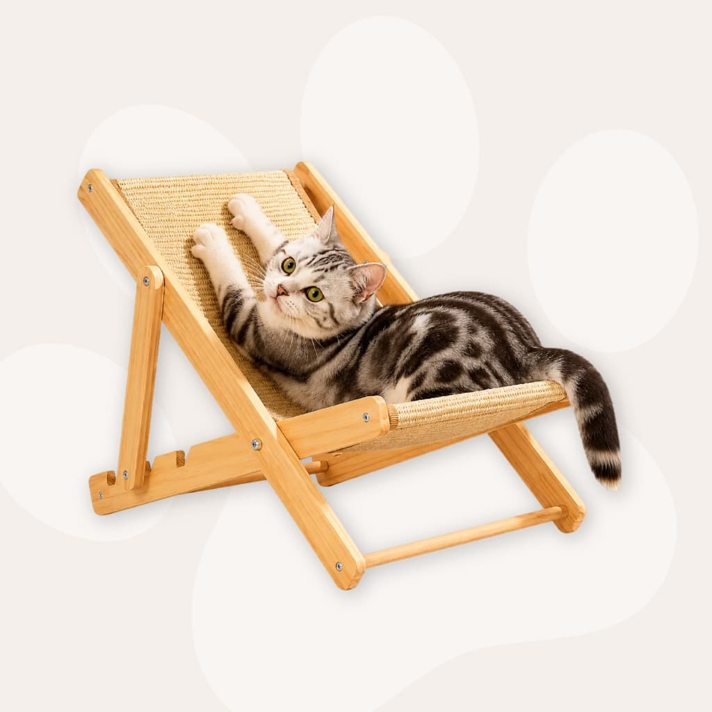 Arranhador Portátil para Gato com 3 Níveis de Altura e Cadeira de Juta