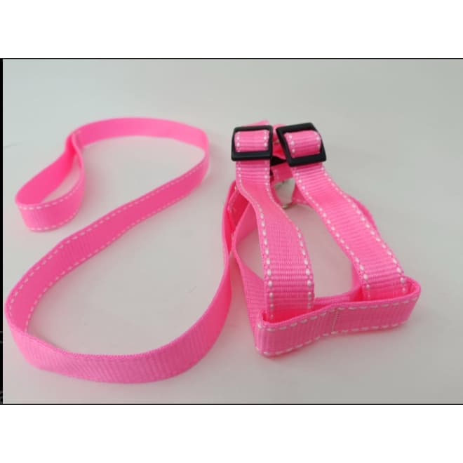 Peitoral de Nylon para Cachorro com Guia | Coleira Peitoral Ajustável Pet 20mm