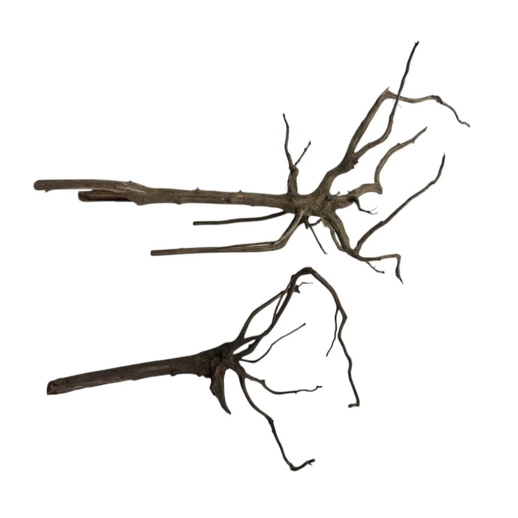 Raiz Natural Para Aquarios Black Ghost Driftwood 20 a 30cm
