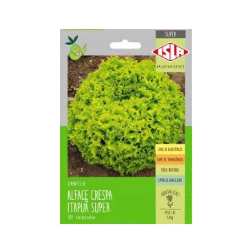 6.000 SEMENTES DE ALFACE CRESPA SUPER GRANDE - ALFACE CRESPA ITAPUÃ SUPER