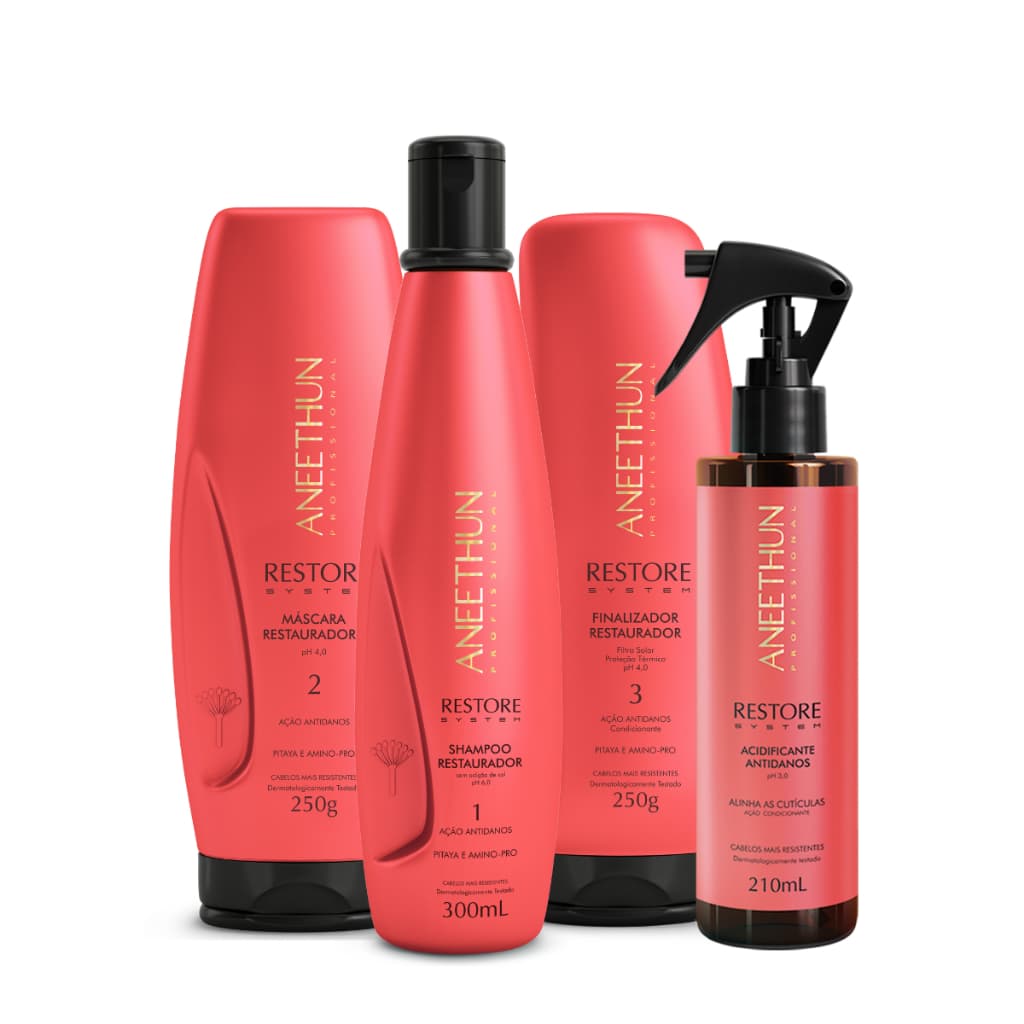 Kit Aneethun Restore System Tratamento Antidanos Completo Shampoo Máscara Finalizador Acidificante 4 Produtos + Brinde