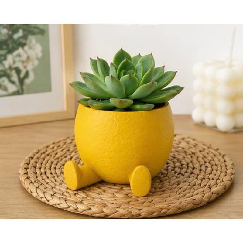 Vaso Decorativo 3D com Perninhas | Vaso para Suculentas e Cactos | Decoração Moderna Minimalista