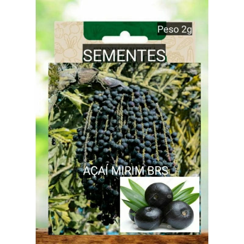 Kit SEMENTES AÇAÍ Brs Anão  plantar HORTA Vaso sítio OFERTA