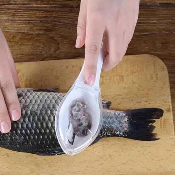 Raspador de Escama de Peixe Manual Descamador com Armazenamento de Resíduos Cozinha