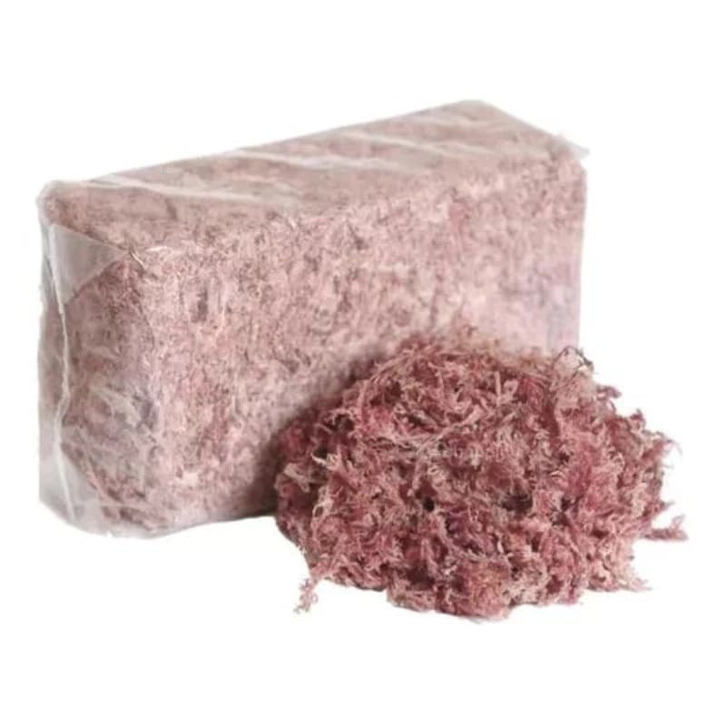 Musgo Sphagnum Sfagnum Esfagno Rosa Para Orquídeas Decoração Artesanato 40 Litros 1,6kg